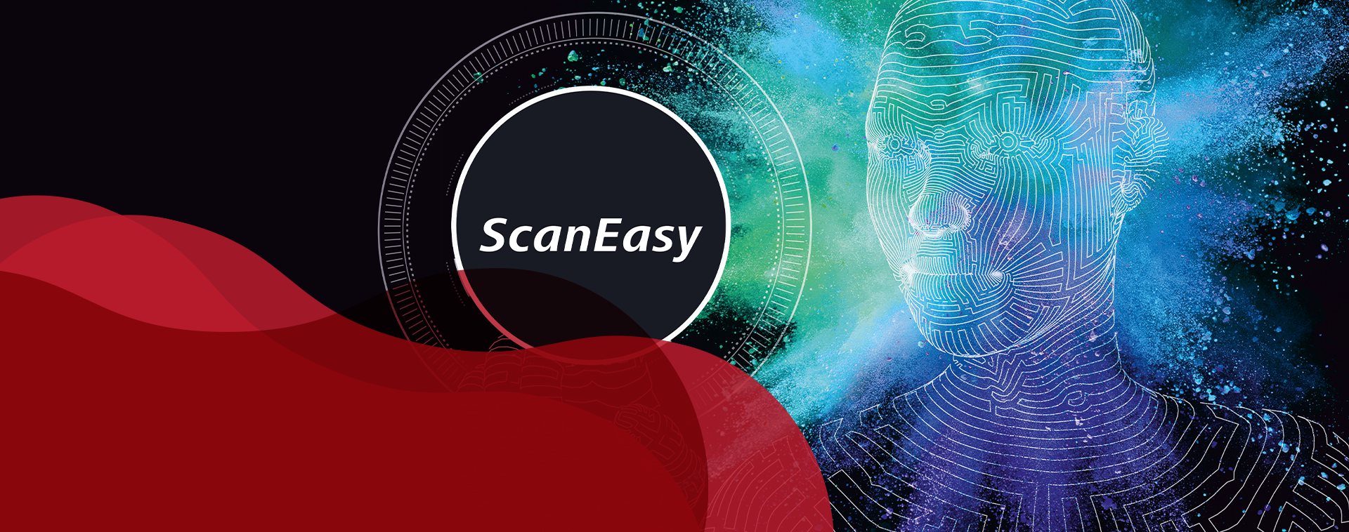 <p>PDV ScanEasy</p>
